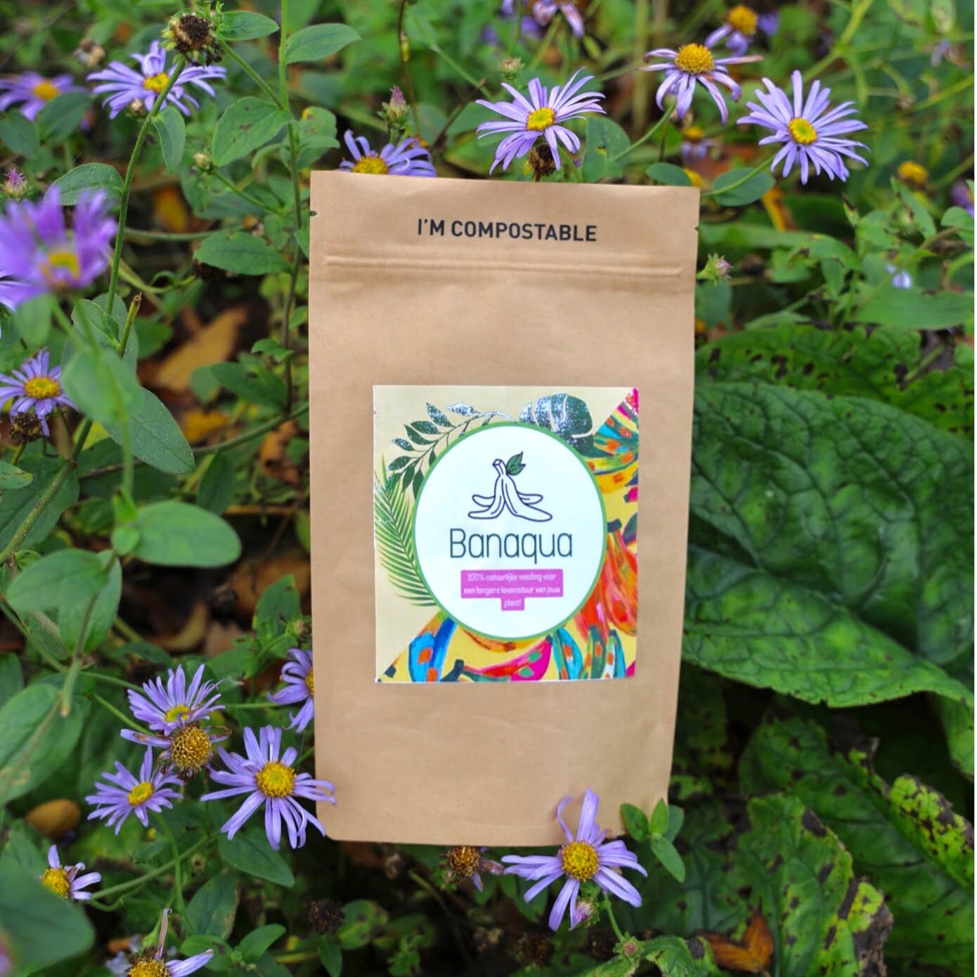 Banaqua — "Your plants tropical treat"